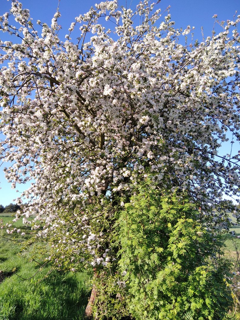 SEL-KOM Sebastian Wołejszo - 23