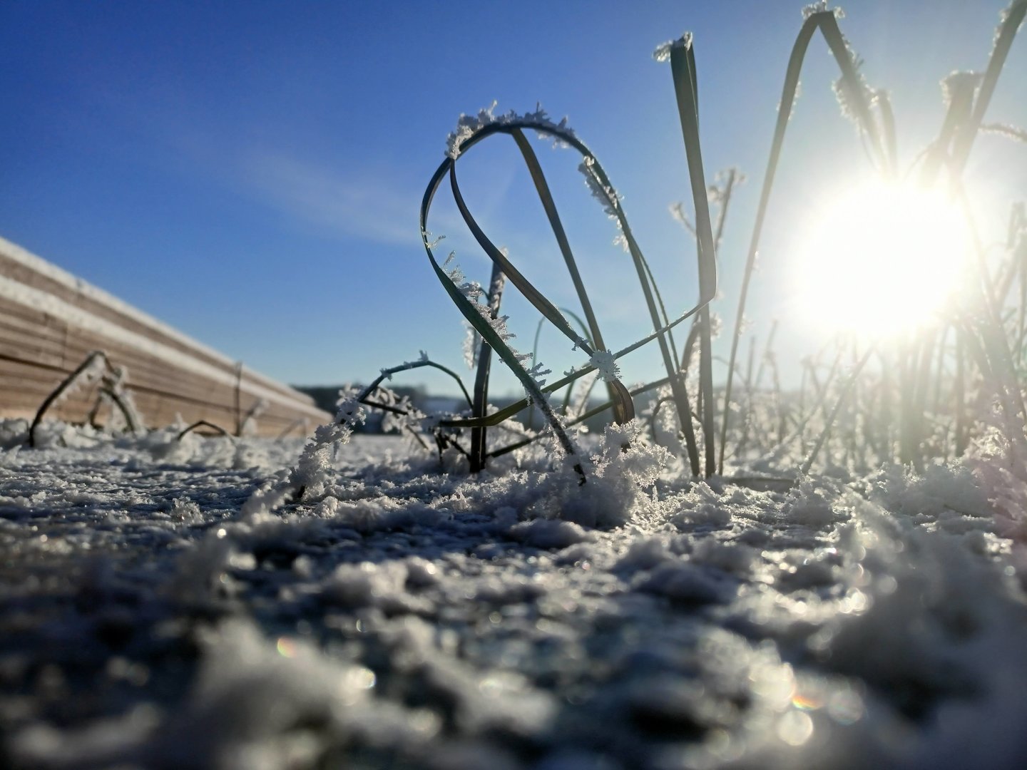 SEL-KOM Sebastian Wołejszo - 32